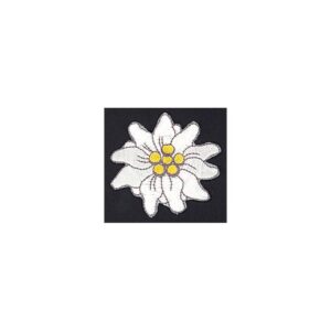 Edelweiss gross