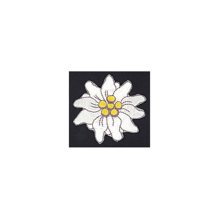 Edelweiss gross