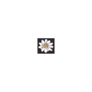 Edelweiss klein